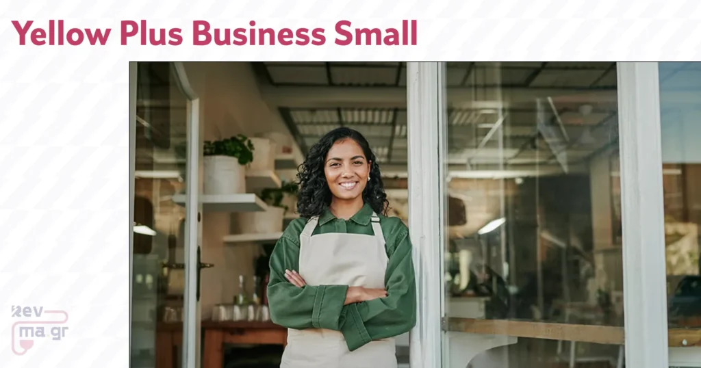 Yellow Plus Business Small OG